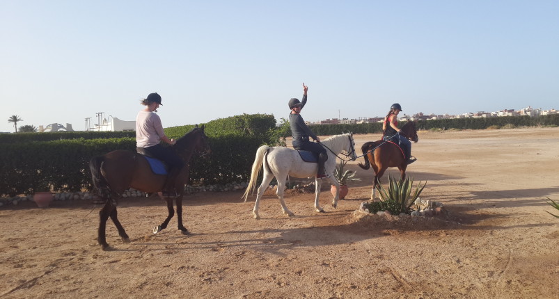 Horse Riding | Sunset Horse Riding 