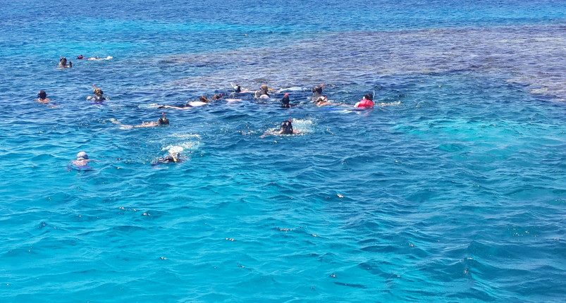 Dolphin House Hurghada 