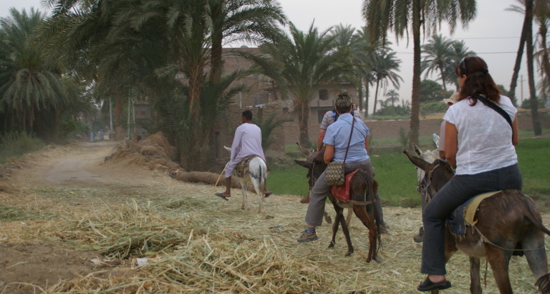 Hot Air Balloon With Donkey Ride