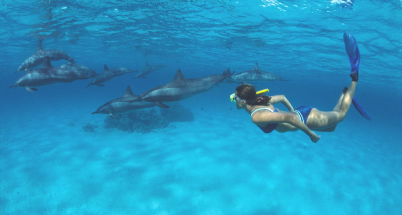 Sataya Reef | Dolphin House Marsa Alam 