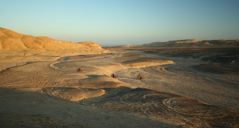Morning Quad Bike Desert Safari 