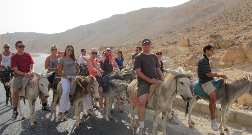 Hot Air Balloon With Donkey Ride