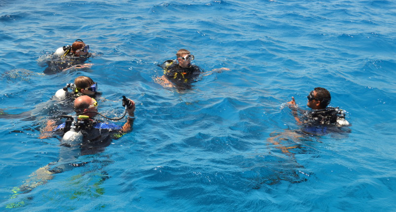 Marsa Alam Diving | Dolphin House Samadai Reef