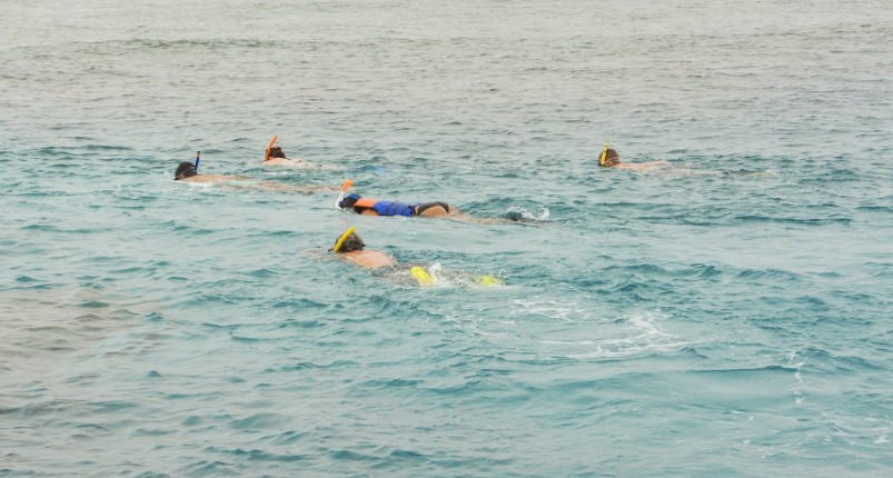 Overnight Snorkeling Trip At Sataya Reef From Marsa Alam