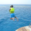 Swim with Dolphins in Marsa Alam | Best Snorkeling Egypt Dolphin House Tour