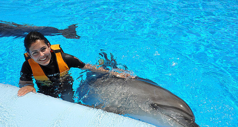 Swimming With Dolphins Hurghada 