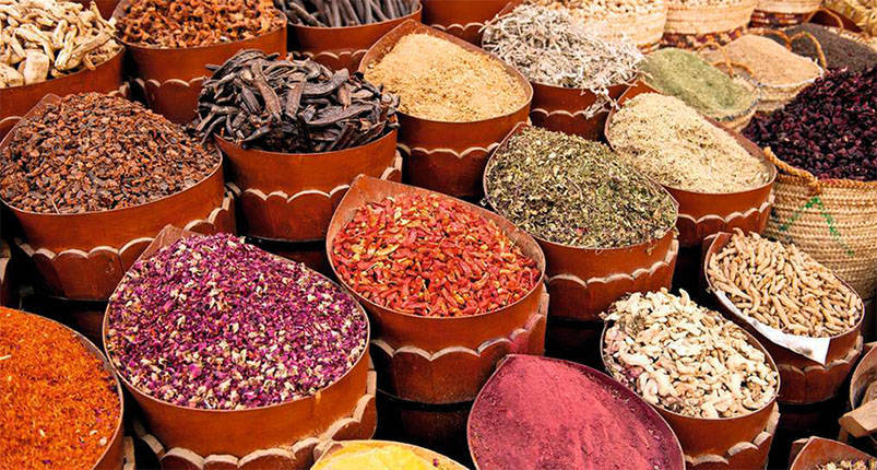 Hurghada City Tour | Excursion Hurghada | Hurghada Tours 