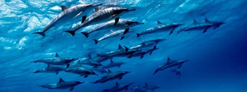 Marsa Alam City | Marsa Alam Tours