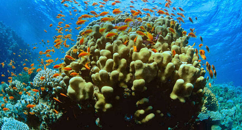 Utopia Island Hurghada 