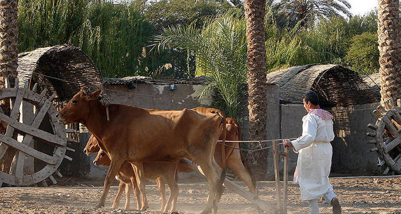 Al Azhar Park and Pharaonic village