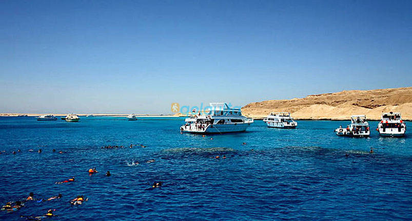 Dolphin House Hurghada 