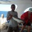 Fishing Trip | Private Fishing Trip At Hamata