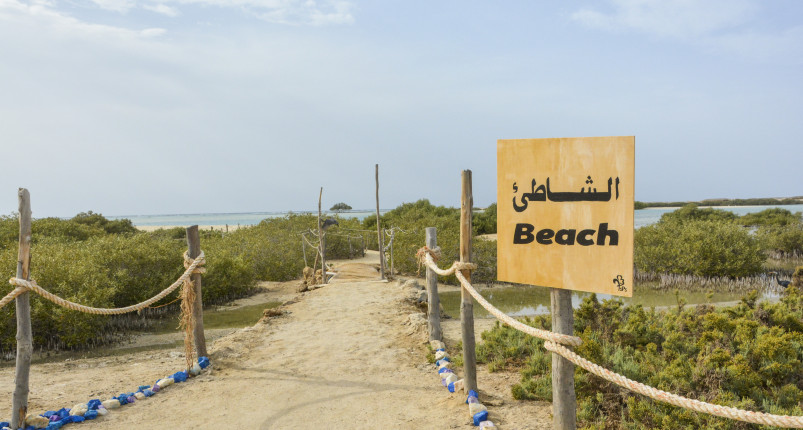 Sharm El Luli | Snorkel Full Day